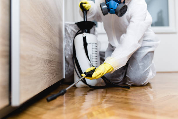 Best Affordable Pest Control Services  in Brandywine Bay, NC